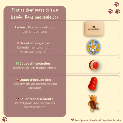 💛 La box qui transforme le quotidien de votre chien